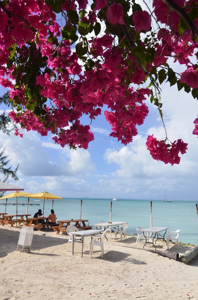 Anegada Reef Hotel - Photo 9