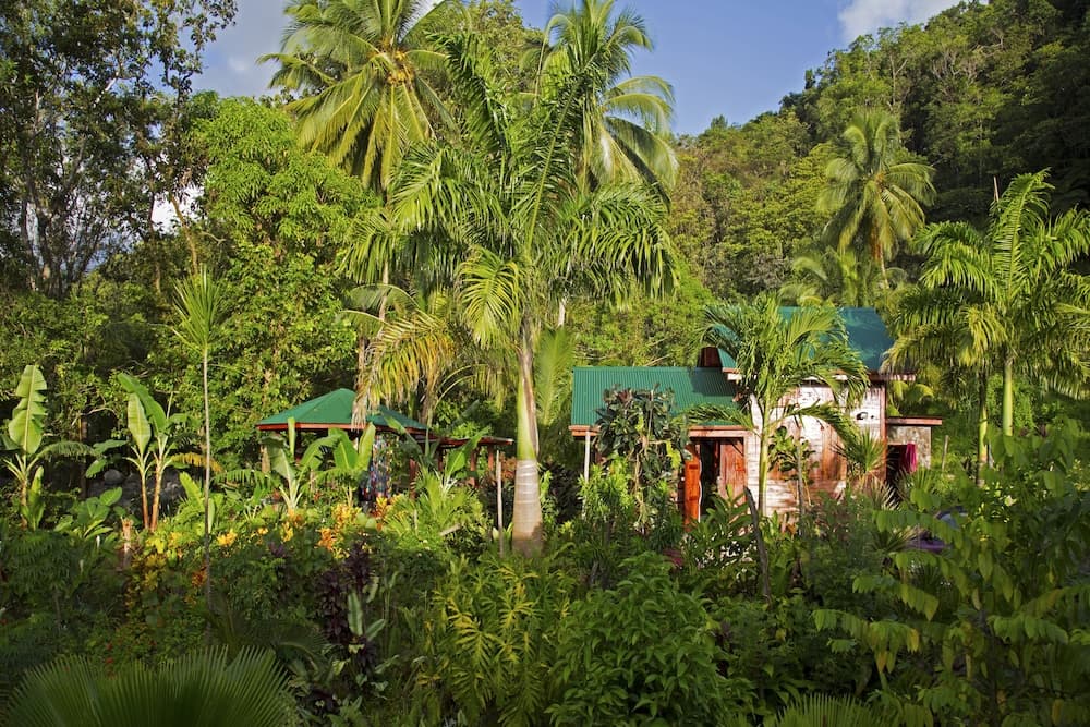 Citrus Creek Plantation - Photo 85