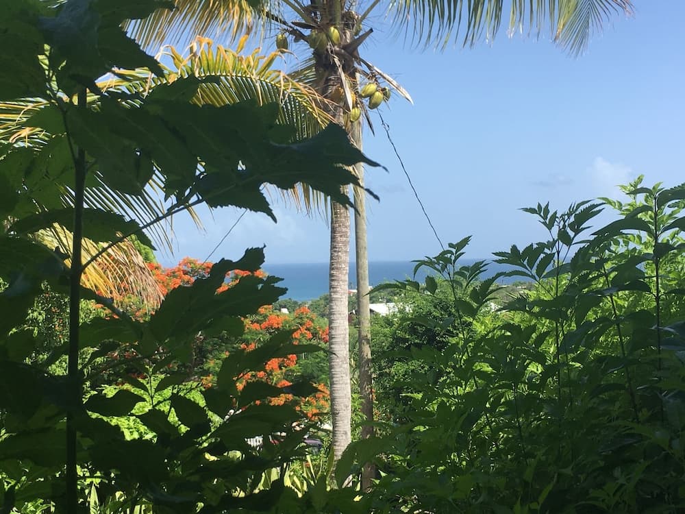 Sea Gate Hotel - Photo 24