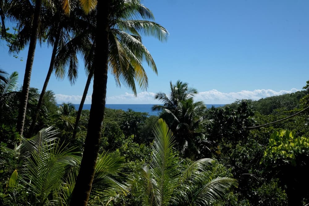 Citrus Creek Plantation - Photo 63