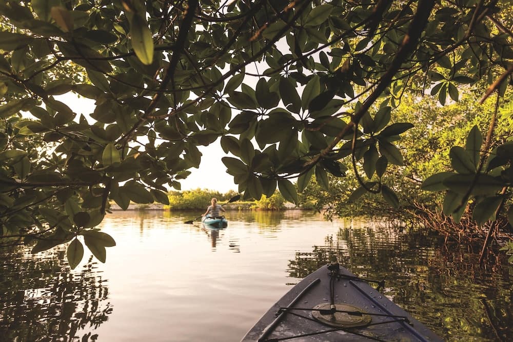The Ritz-Carlton, Grand Cayman - Photo 54