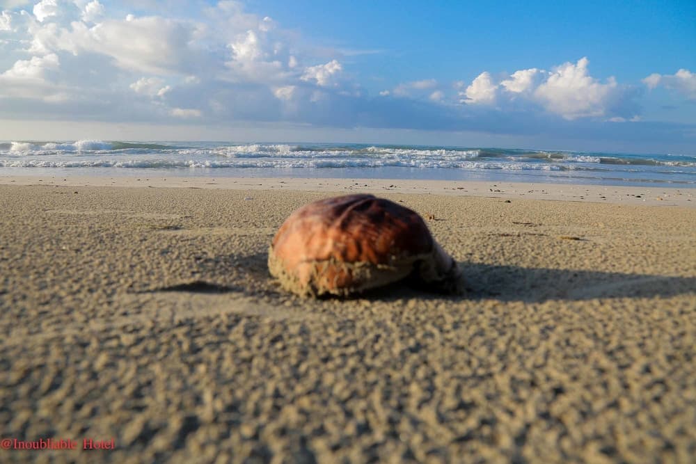 Hotel Inoubliable - Photo 50