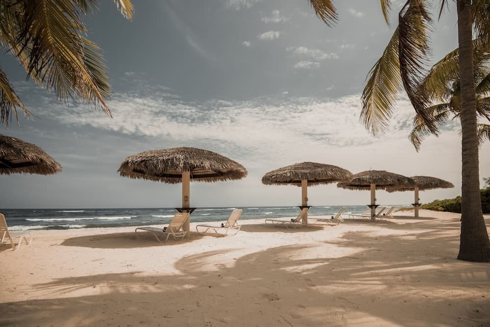 Le Soleil d'Or CaymanBrac - Photo 127