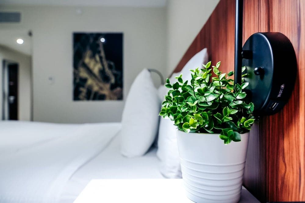 Ponce Plaza Hotel & Casino - Photo 15