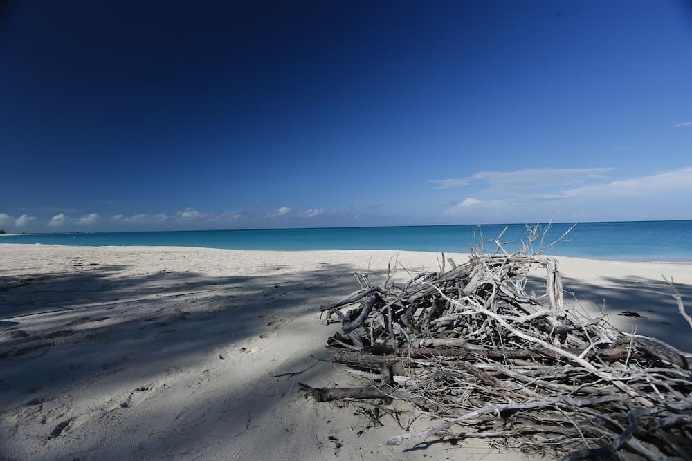 Pine Cay, Turks and Caicos - Photo 68