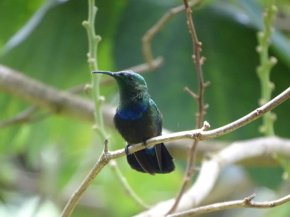 Spring Gardens Resort - Photo 8