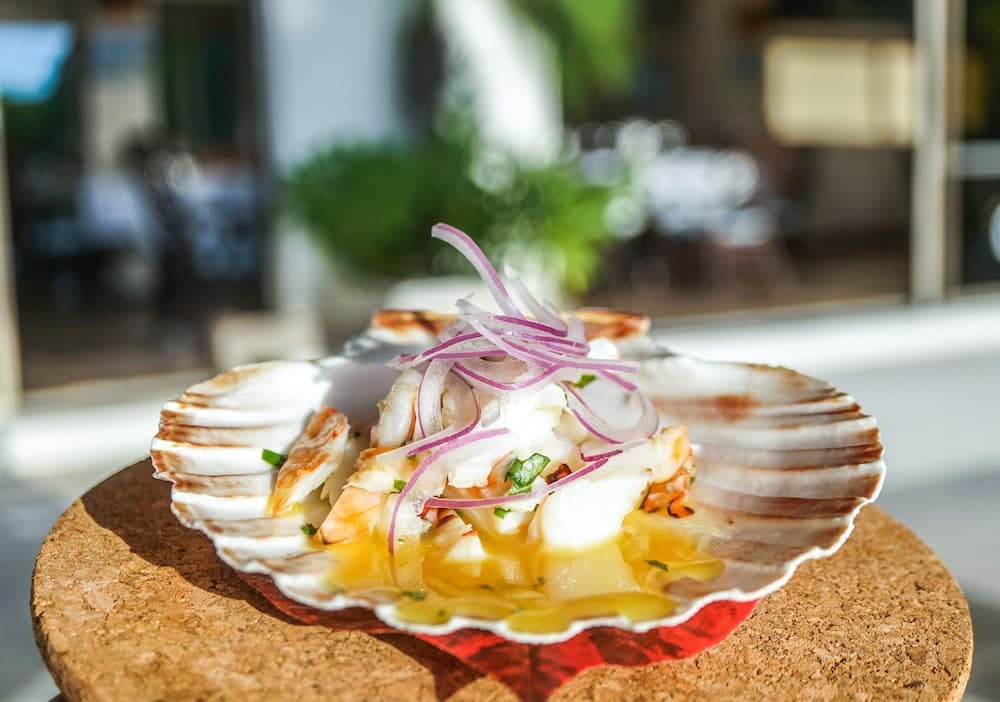 Pine Cay, Turks and Caicos - Photo 40