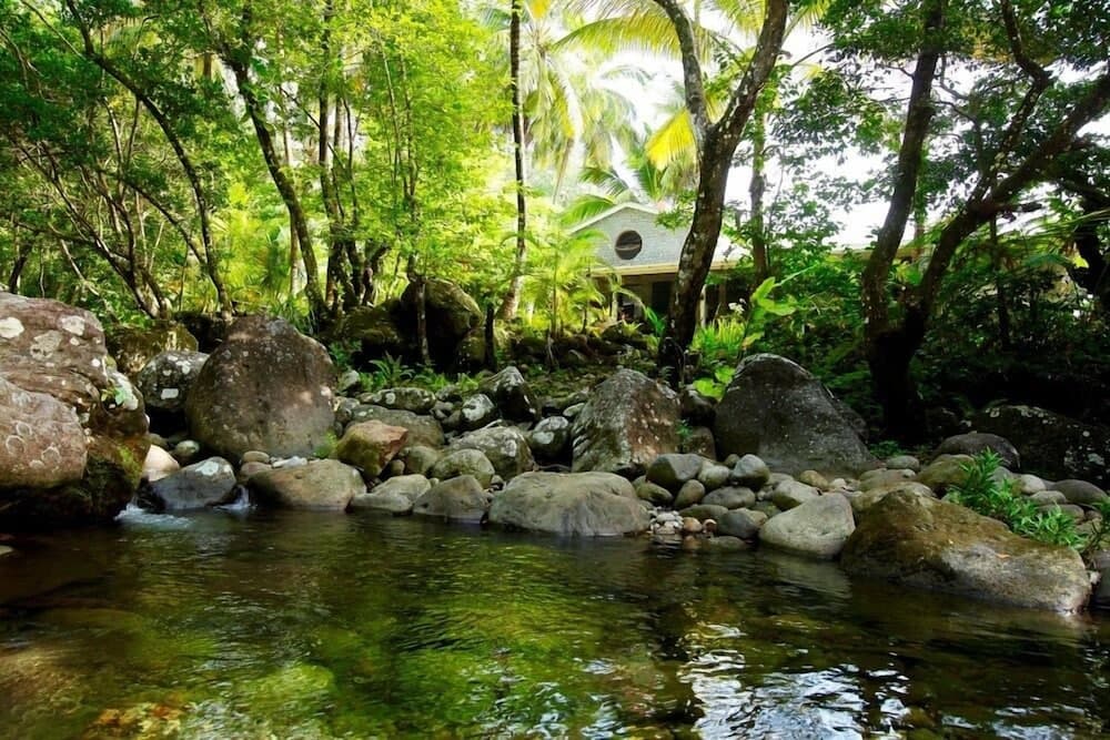 Citrus Creek Plantation - Photo 42