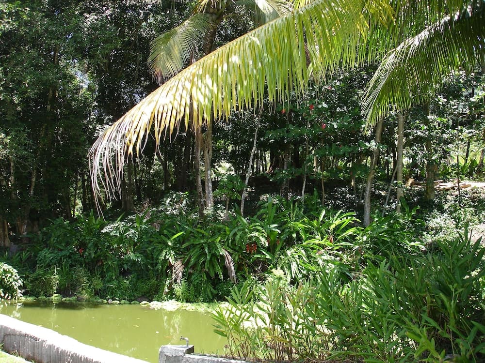 Kootney Resorts - Photo 80