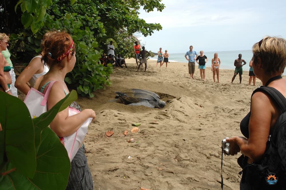 Comfort Inn & Suites Tobago - Photo 35