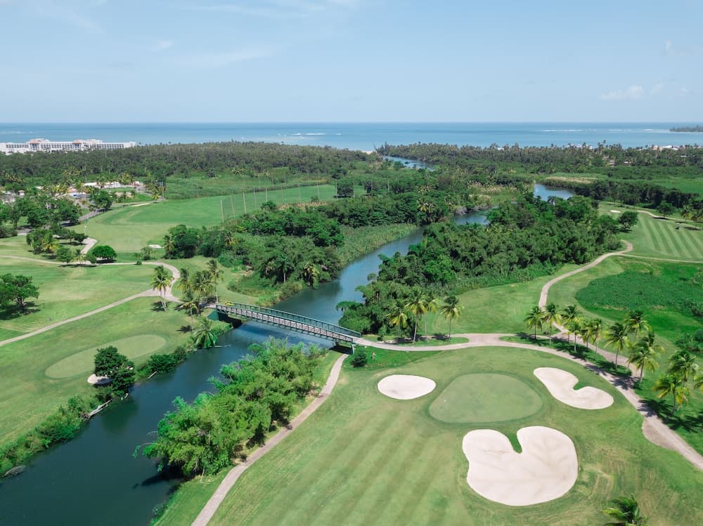 Wyndham Grand Rio Mar Rainforest Beach and Golf Resort - Photo 179