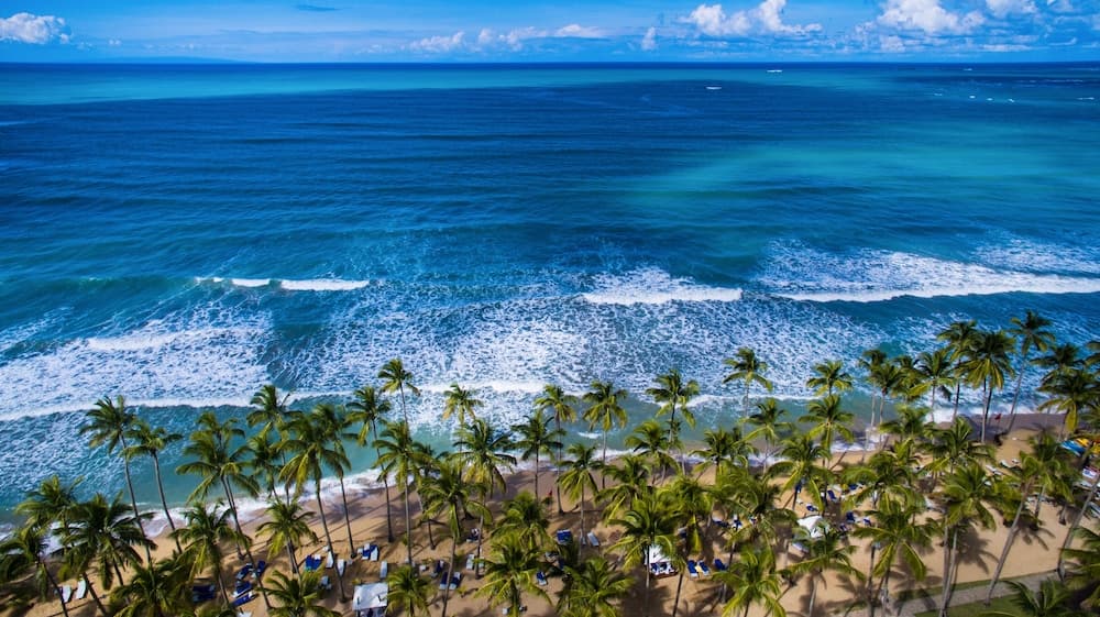 Viva V Samana by Wyndham, A Trademark Adults All Inclusive - Photo 100