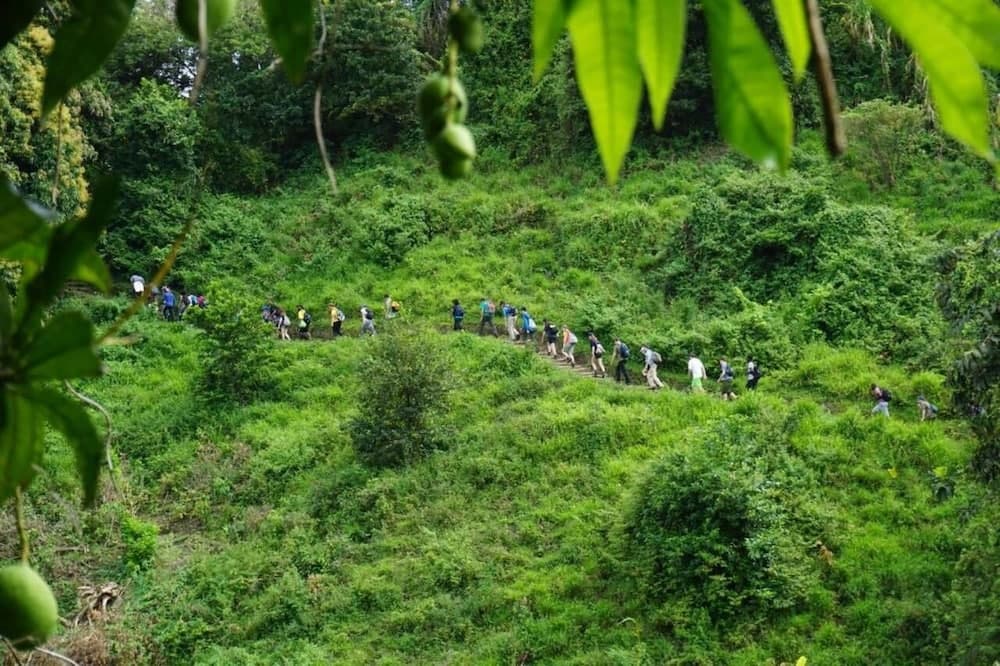 Richmond Vale Diving and Hiking Center - Hostel - Photo 31