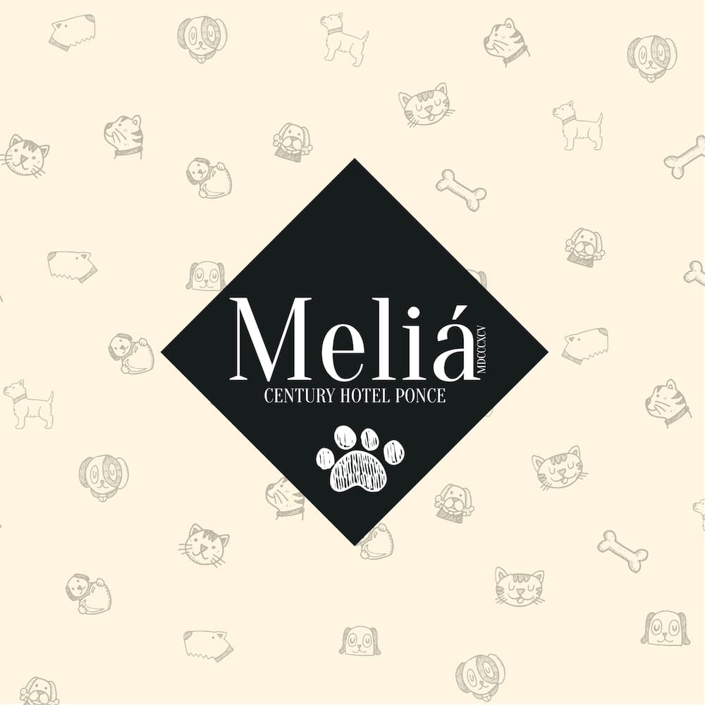 Meliá Century Hotel Ponce - Photo 35