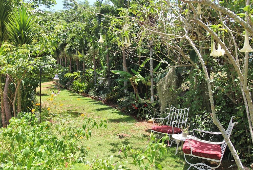 Casa da Buena Vista - Photo 113