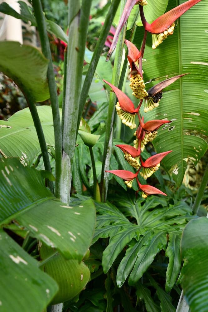 Hotel Alisei - Photo 92