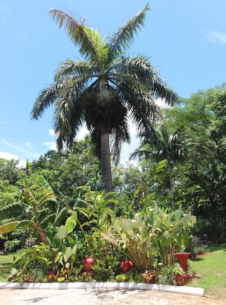 Casa da Buena Vista - Photo 59