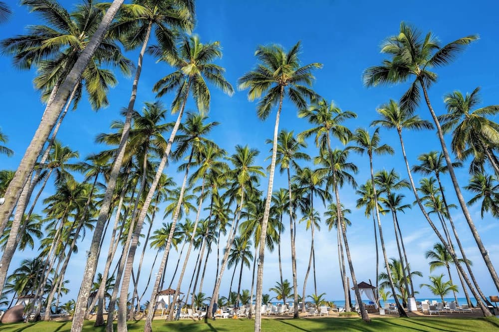 Viva V Samana by Wyndham, A Trademark Adults All Inclusive - Photo 92