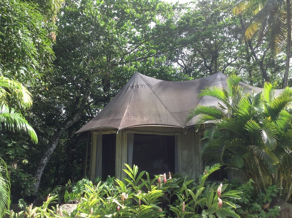 Citrus Creek Plantation - Photo 61