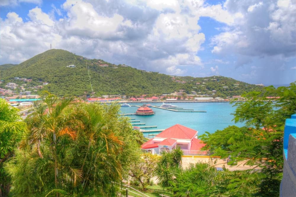 Castle Villas at Bluebeard's - Photo 21