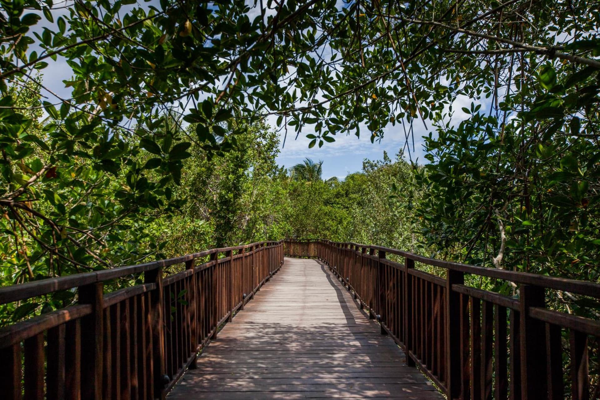 Occidental Cozumel - All Inclusive - Photo 52