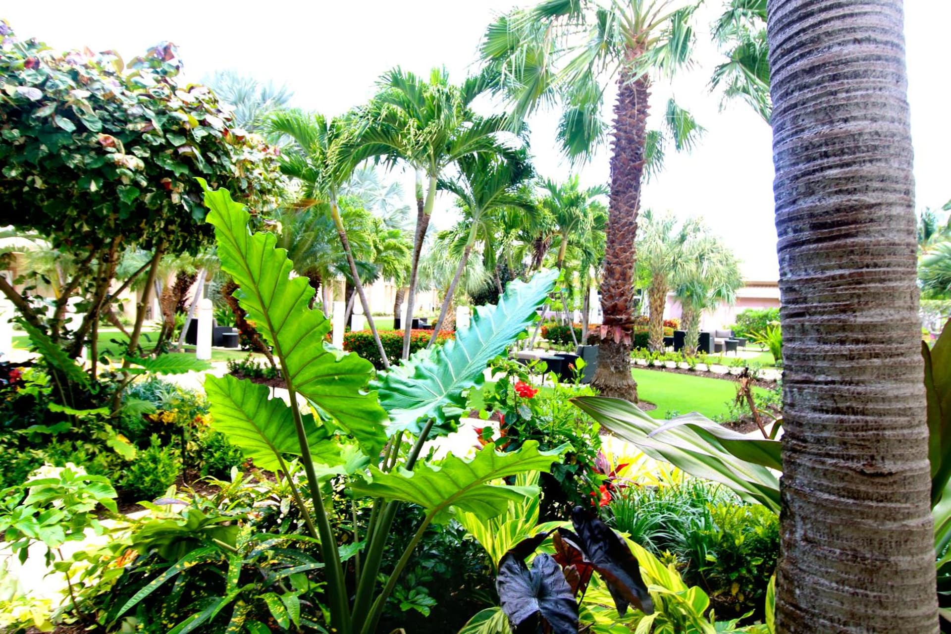 The Grand Caymanian Resort - Photo 153