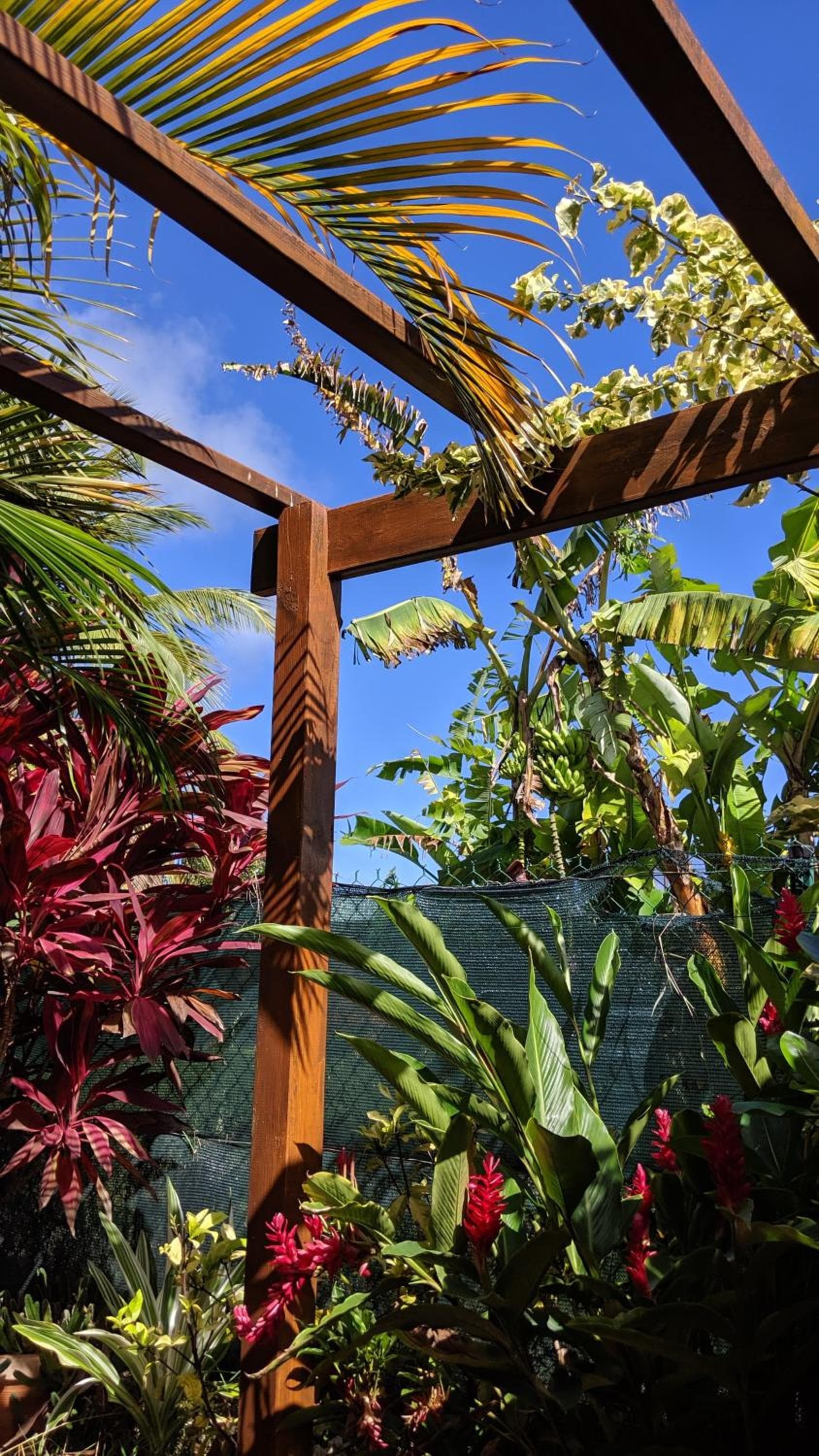 Villa Rosa Karibella - Photo 46