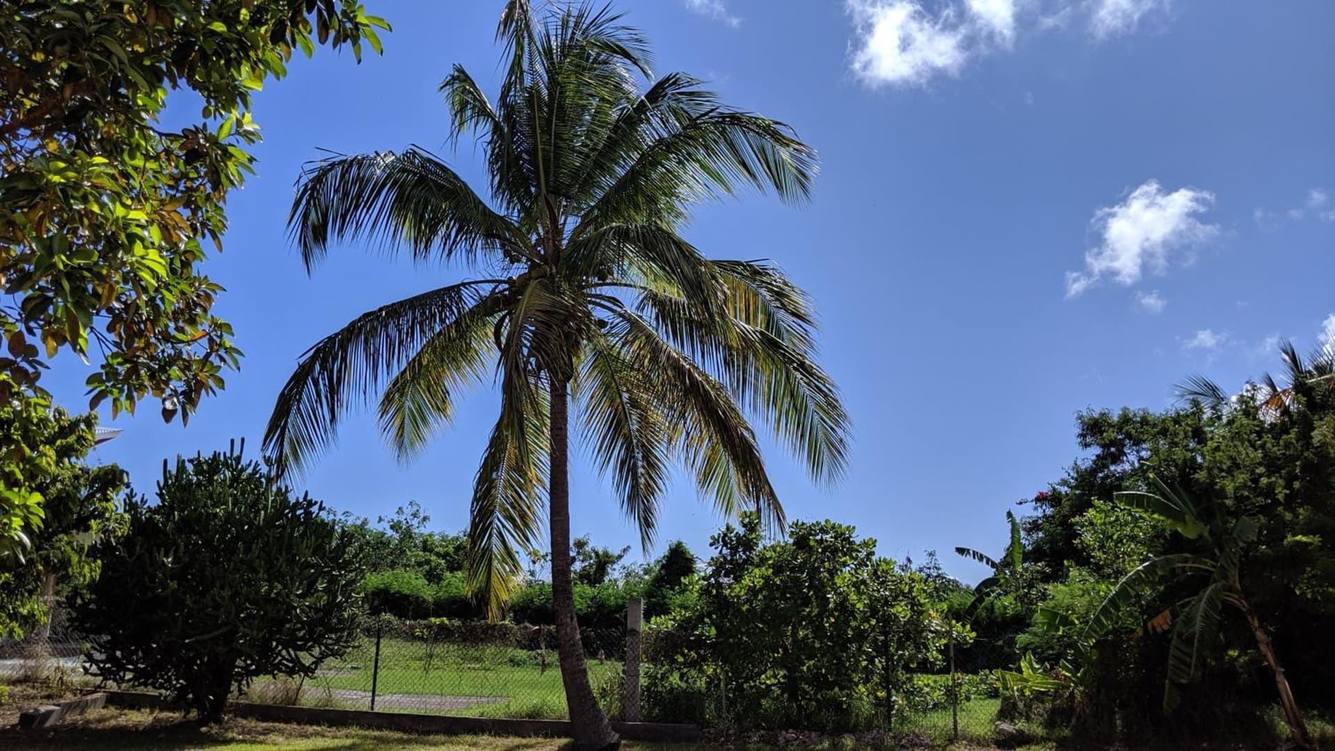 Villa Rosa Karibella - Photo 78