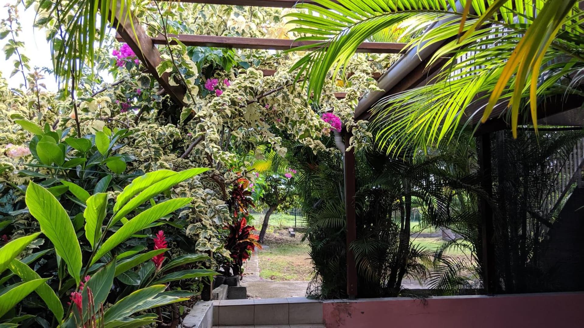 Villa Rosa Karibella - Photo 74