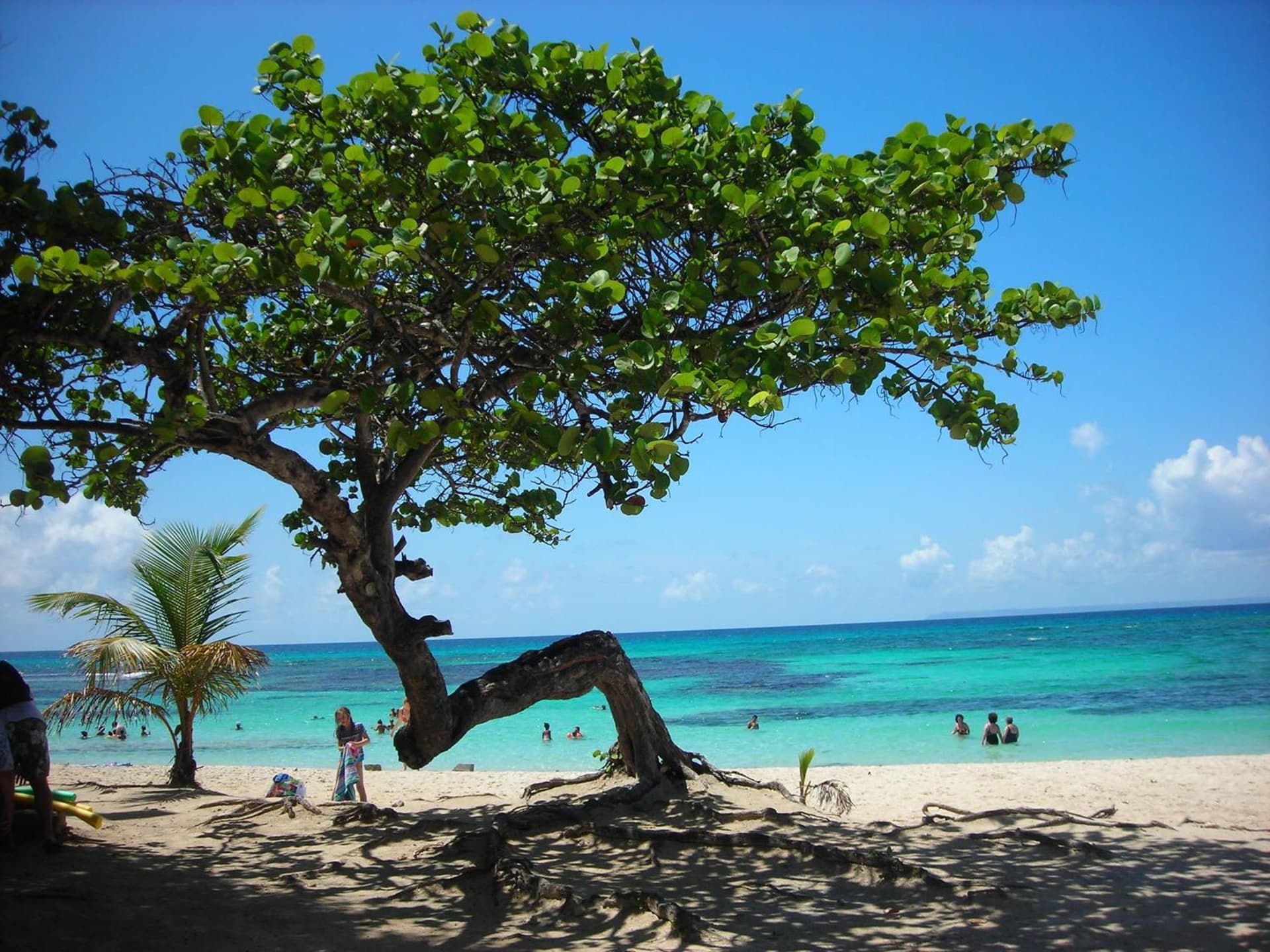 Villa Rosa Karibella - Photo 81