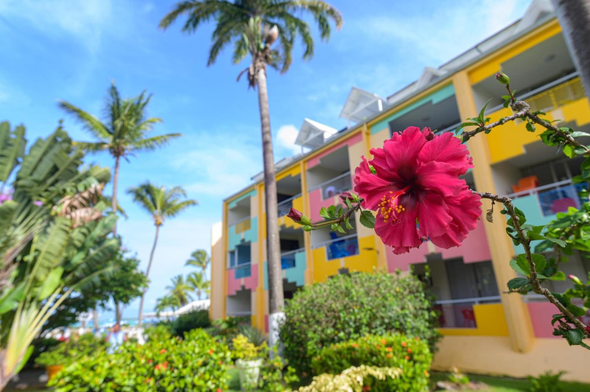 Canella Beach Hotel - Photo 36