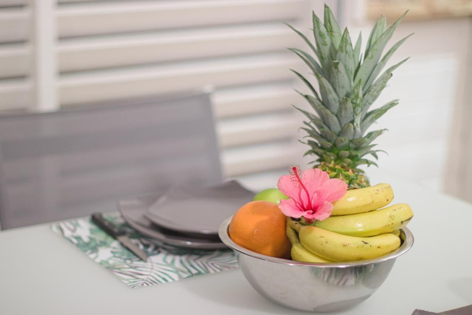 Kaz et Palmiers - Photo 15