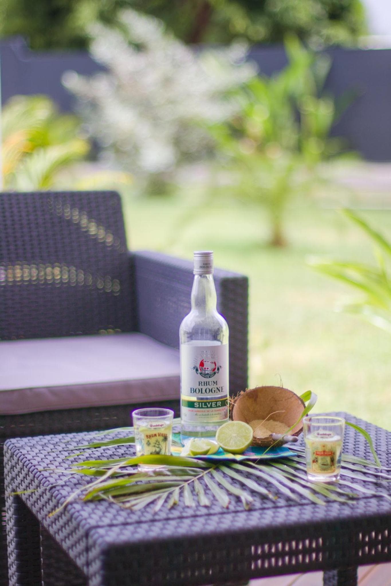 Kaz et Palmiers - Photo 7