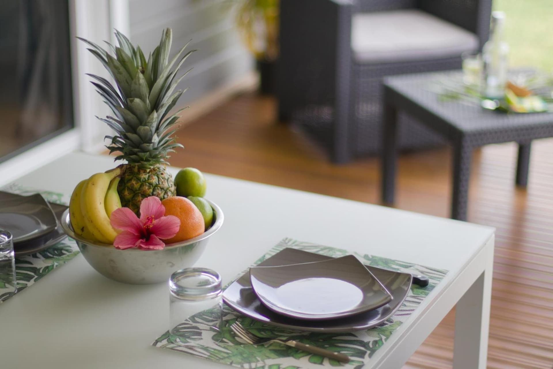 Kaz et Palmiers - Photo 23