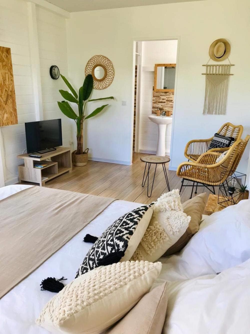 Kaz et Palmiers - Photo 1