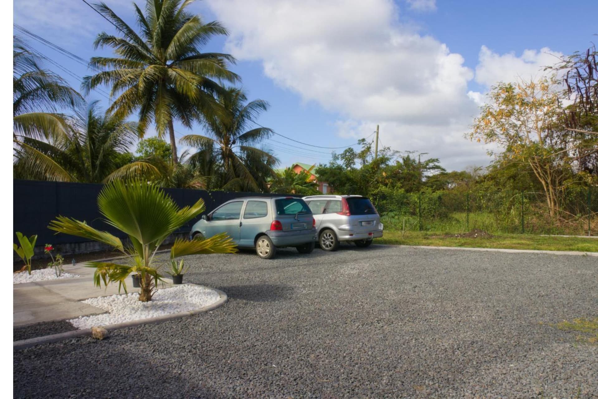 Kaz et Palmiers - Photo 11