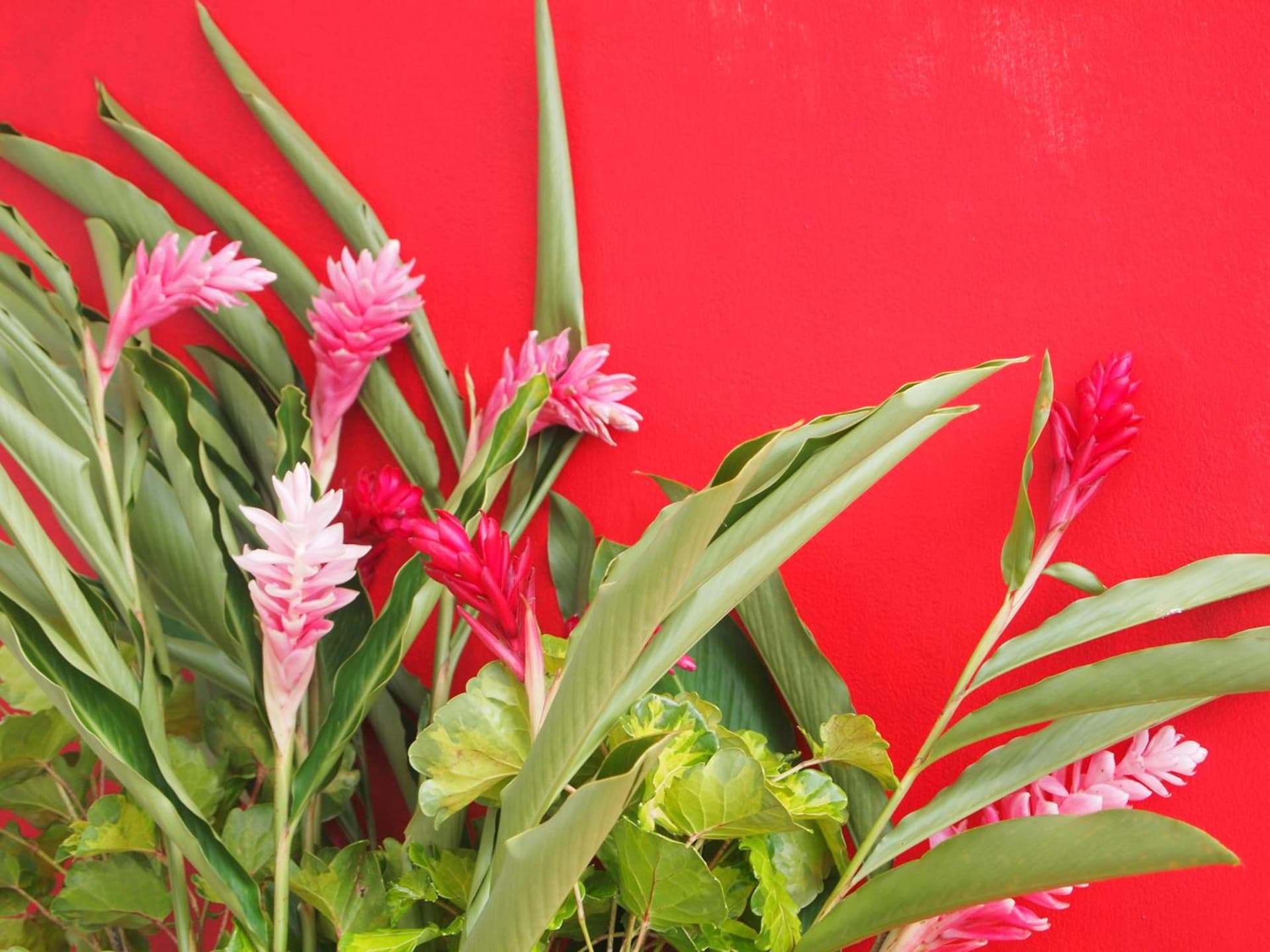 Match Resort - Photo 17