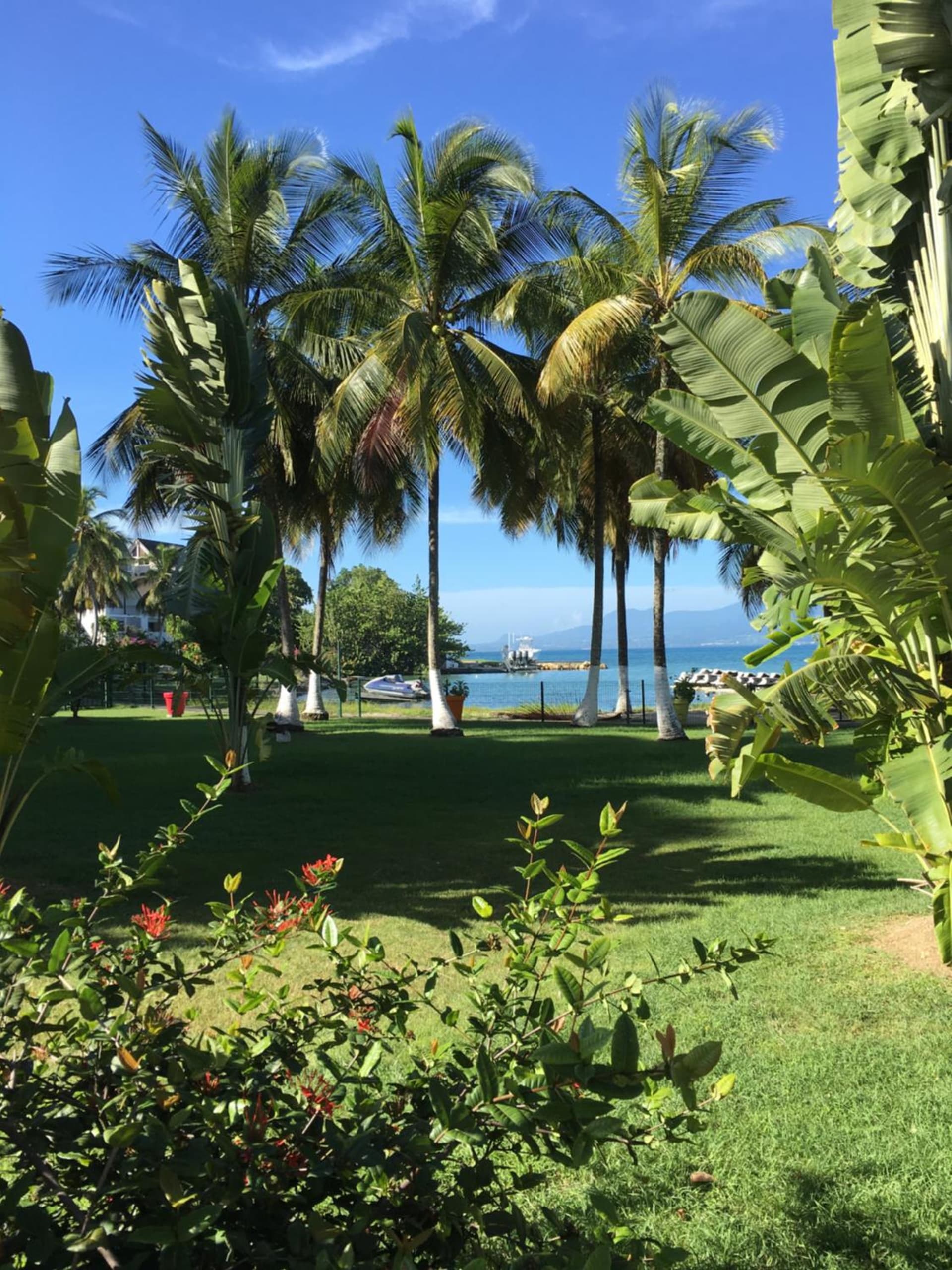 Canella Beach Hotel - Photo 7