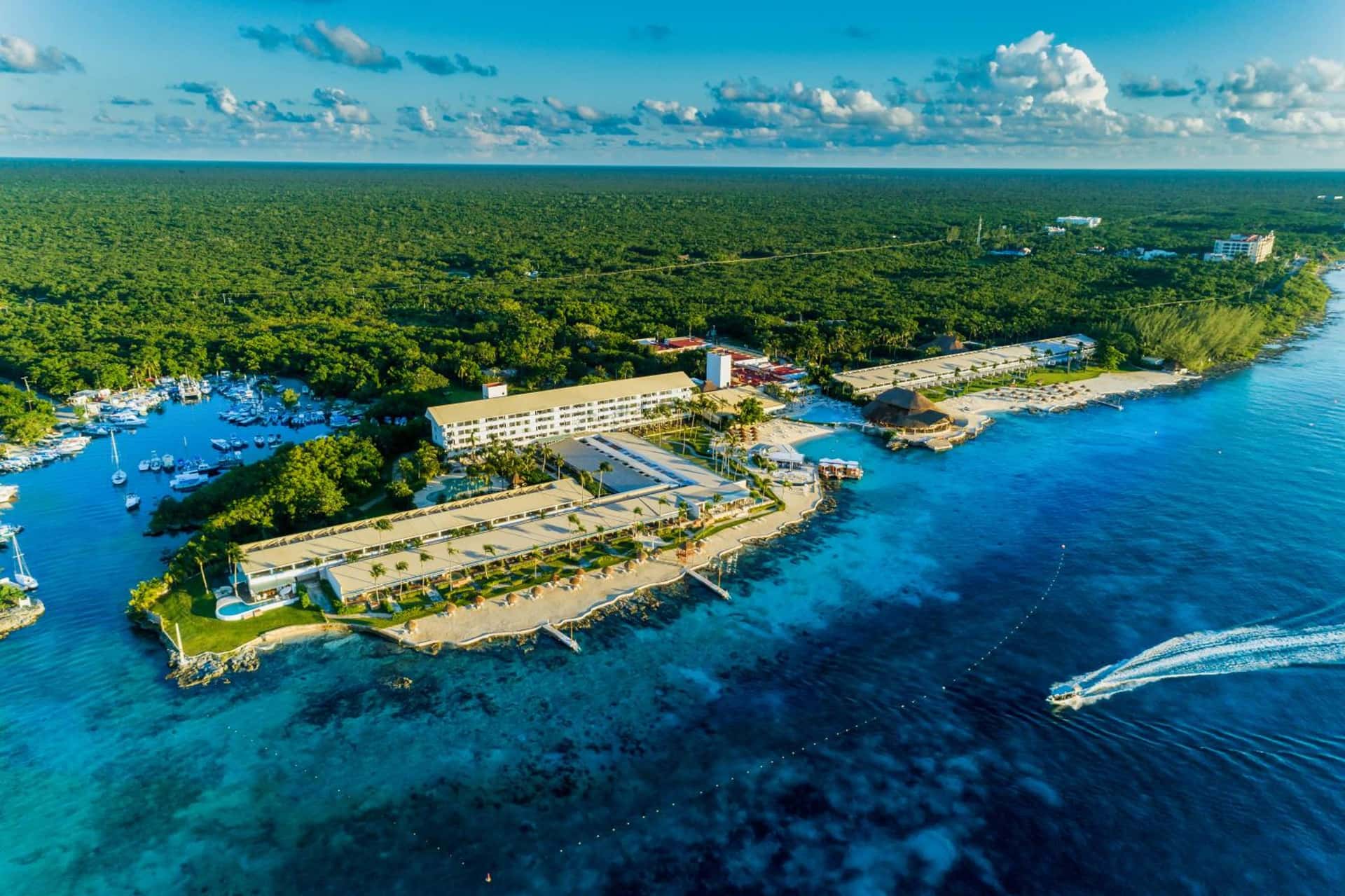 Presidente InterContinental Cozumel Resort & Spa by IHG - hotel in Carretera A Chankanaab Km 6-5, Cozumel