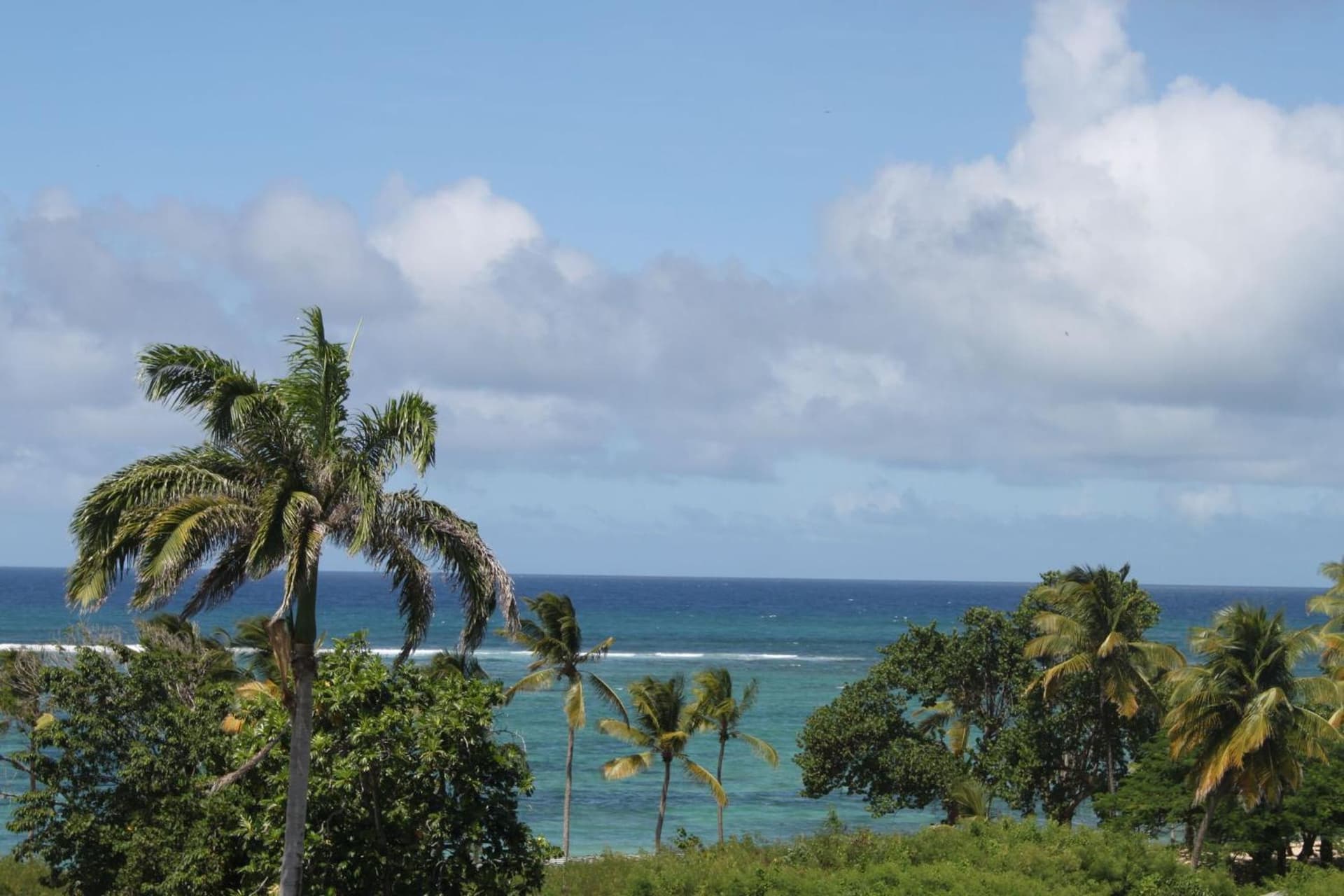 Résidence Tropicale - Photo 12