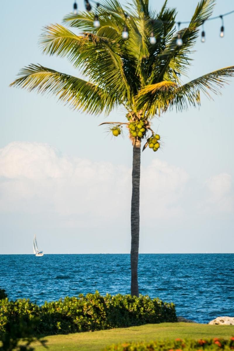 The Grand Caymanian Resort - Photo 186
