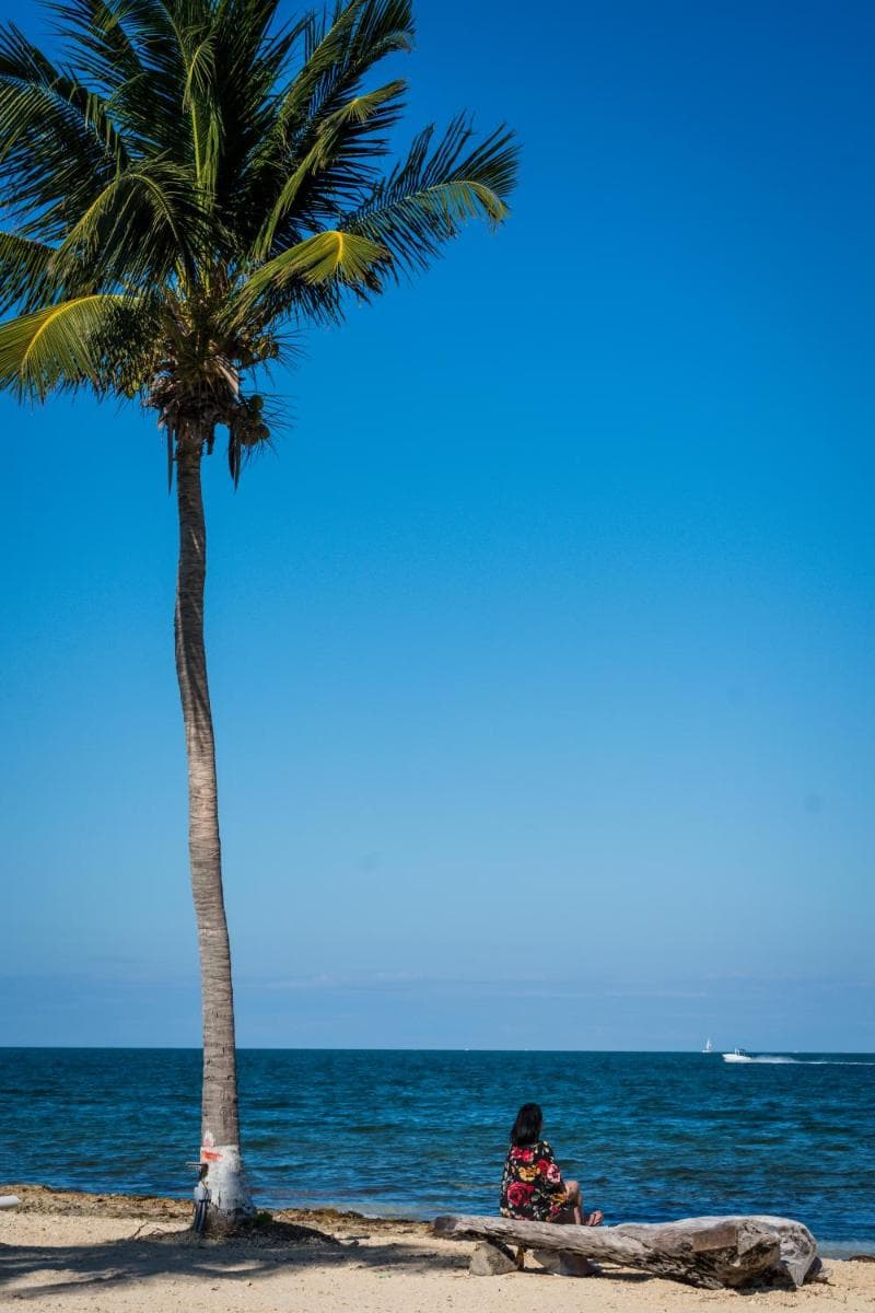 The Grand Caymanian Resort - Photo 176