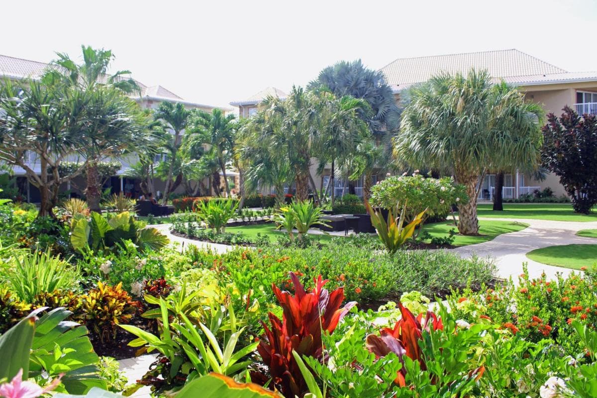 The Grand Caymanian Resort - Photo 103