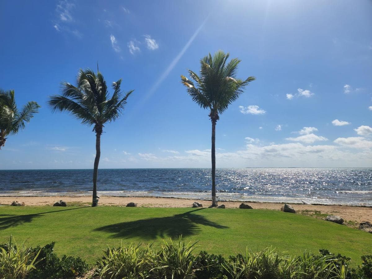 The Grand Caymanian Resort - Photo 116