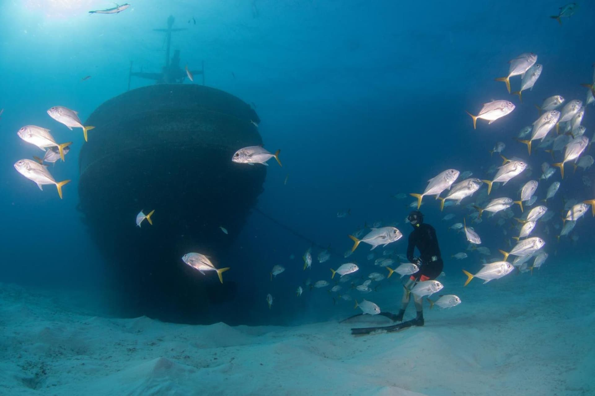 Holiday Inn Resort Grand Cayman by IHG - Photo 151