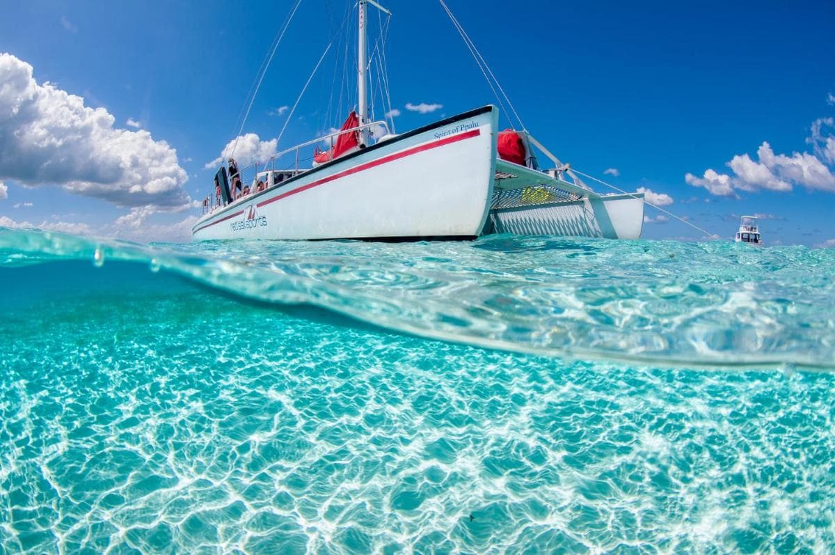 Holiday Inn Resort Grand Cayman by IHG - Photo 166