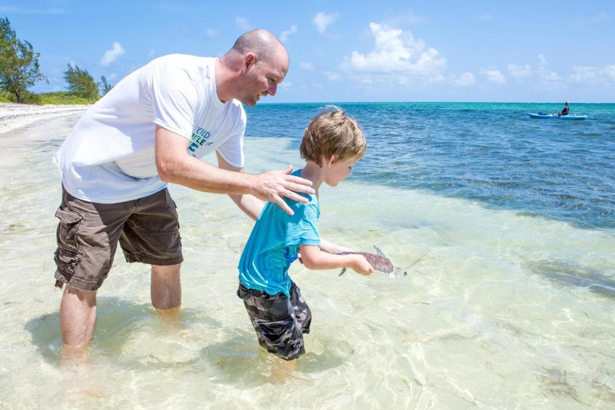 Holiday Inn Resort Grand Cayman by IHG - Photo 167