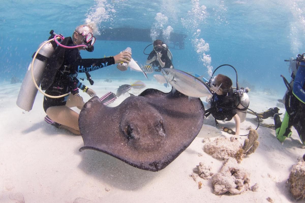 Holiday Inn Resort Grand Cayman by IHG - Photo 159