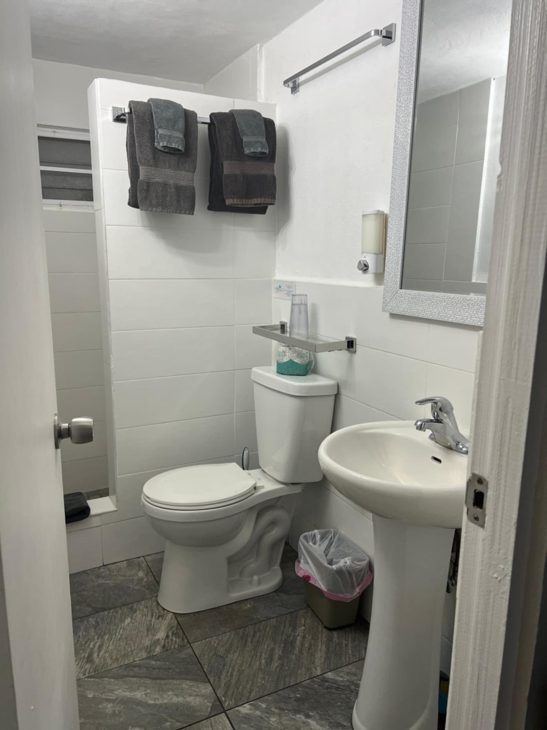 The Vieques Guesthouse - Photo 18