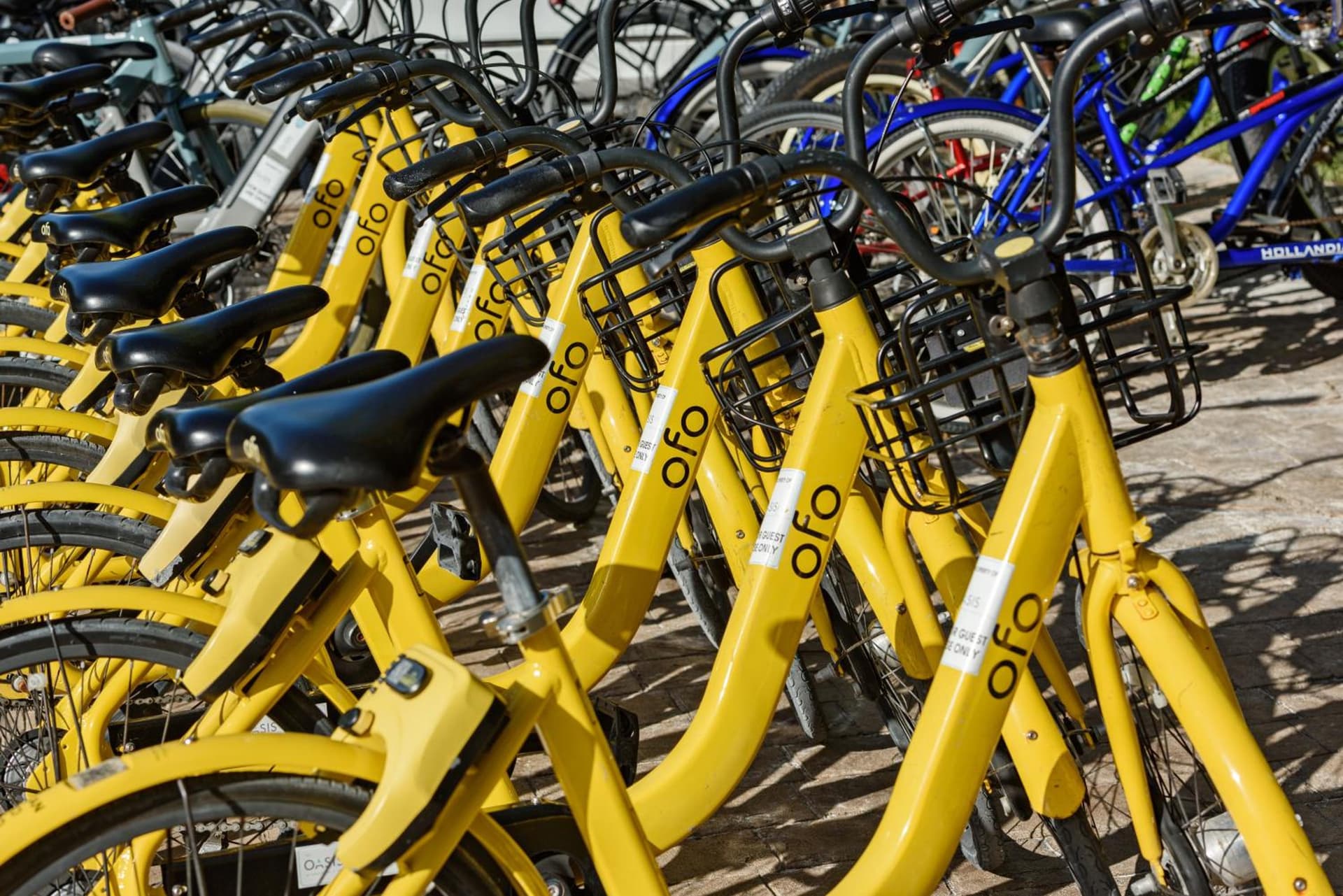 The Oasis at Grace Bay - Photo 72